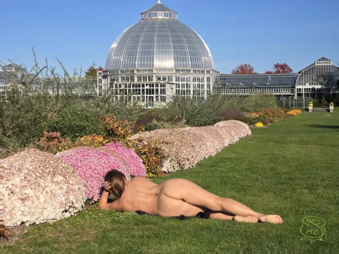 Splendor in the Grass Thumbnail