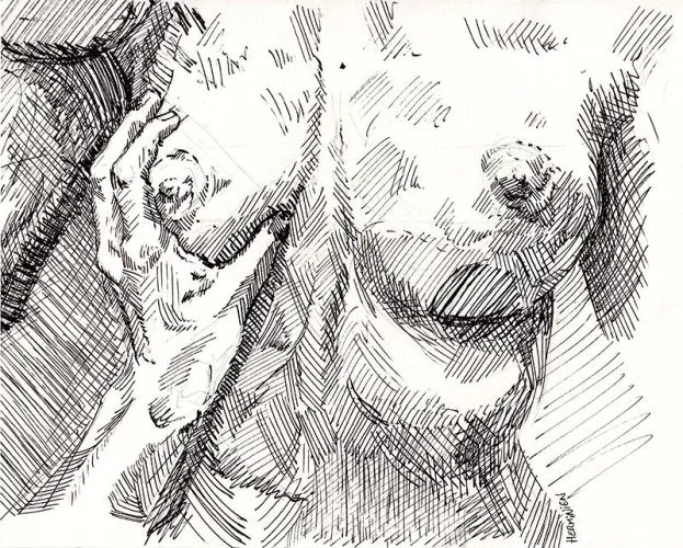 Squeeze, by me Thumbnail