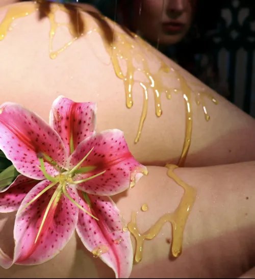 Stargazer Lily & Honey ✨ Thumbnail