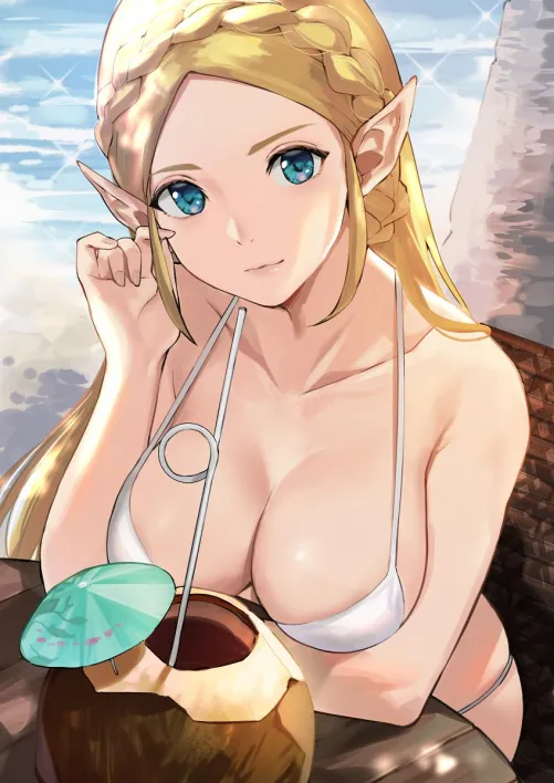 Summer Zelda (J@CK on Pixiv) [Breath of the Wild] Thumbnail