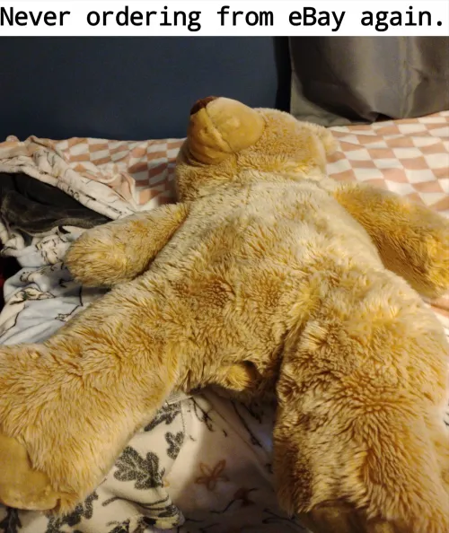 That poor bear... Thumbnail