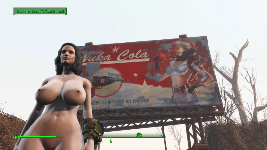 That time I made a FO4 character 1 month after launch resembling my breasts Thumbnail