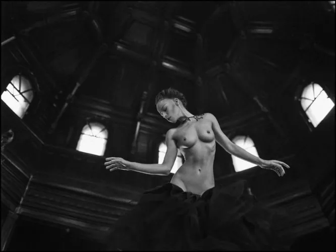 The debutante Thumbnail