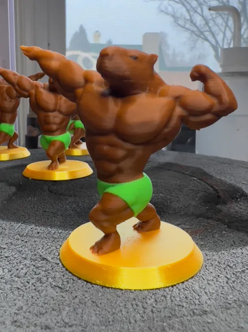 The last time I came here, I posted a pic of a capyBARA plush. Now my algorithm is broken and won't stop showing me things like this. Thumbnail