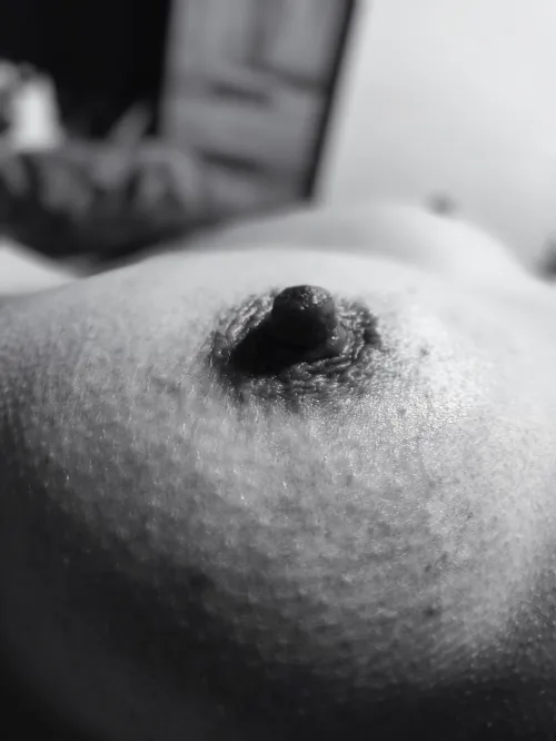 The mountains Thumbnail