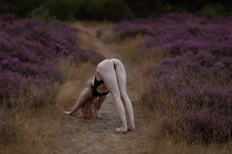 Time for some outdoor yoga Thumbnail