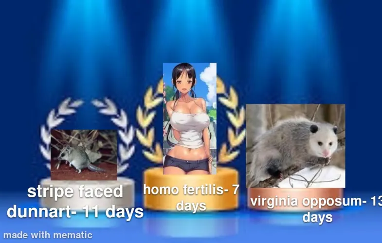 Top 3 mammals with the shortest gestation periods Thumbnail