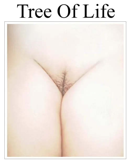 Tree Of Life Thumbnail