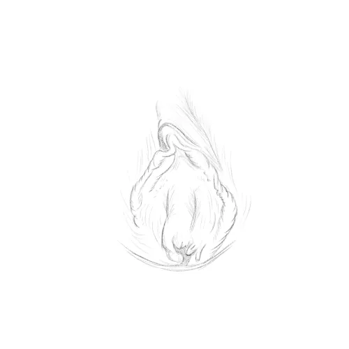 Vulva Sketch by Me Thumbnail