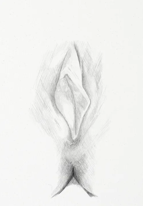 Vulva study - pencil drawing by me Thumbnail