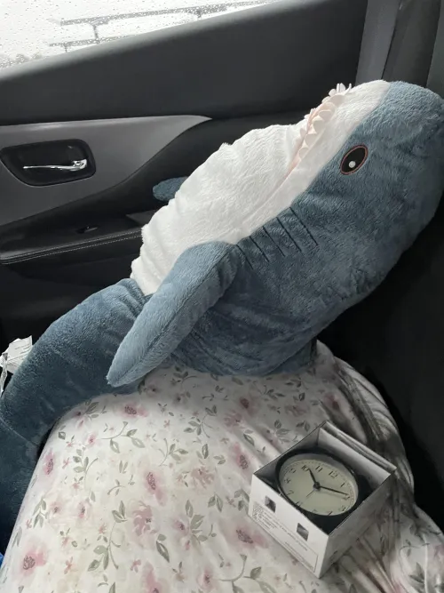 What do I name him??? Thumbnail