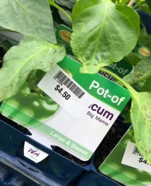 When she leaves you but there’s reminders everywhere  Thumbnail