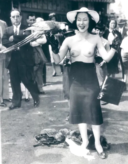 Yvette Dare was a 1940s burlesque dancer who famously used a trained parrot as part of her act. The parrot would help disrobe Dare during her performances, a unique and memorable part of her act. Thumbnail